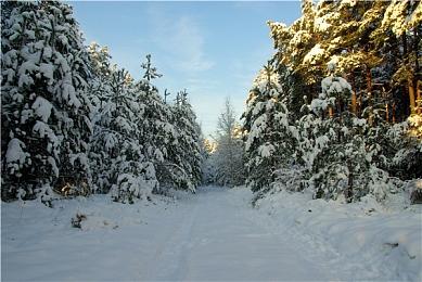 《元祖掉落寿司》Steam页面上线 物理原则消除